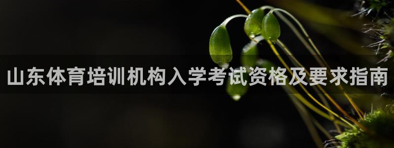 富联官网注册不了账号：山东体育培训机构入学考试资格及