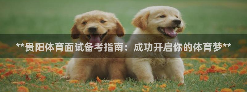 富联娱乐合作 58534I 娱乐：**贵阳体育面试备考指南：