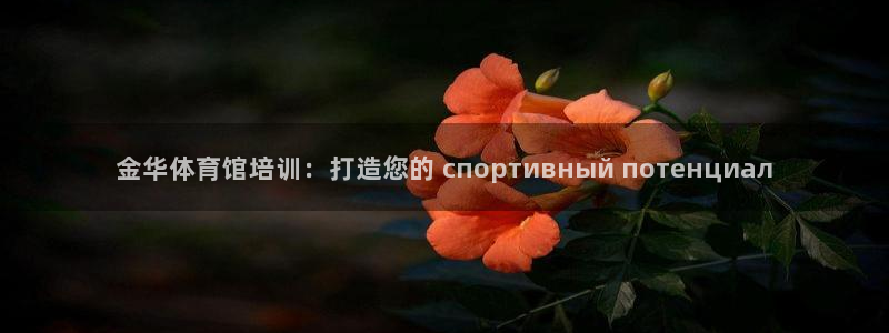 富联平台网站是什么：金华体育馆培训：打造您的 спортив